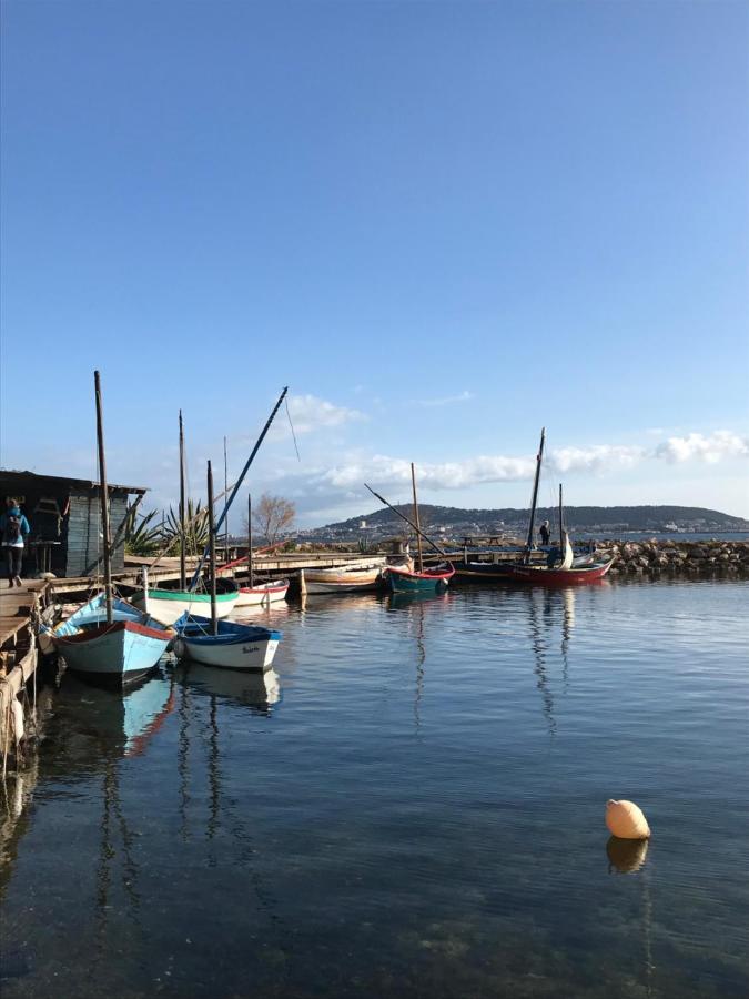 Chambre, Terrasse Et Piscine De L'Impasse Du Pressoir Le Crès エクステリア 写真